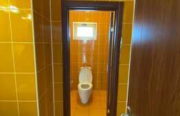 Spațiu comercial, 300 mp, pretabil showroom, Calea București