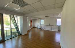 Spațiu comercial, 300 mp, pretabil showroom, Calea București