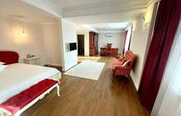 Casa ultracentral, 500 mp utili, 550 m teren, mobilata si utilata!