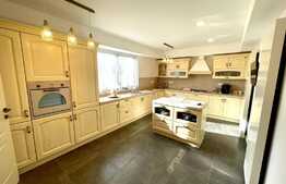 Casa ultracentral, 500 mp utili, 550 m teren, mobilata si utilata!