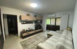 Apartament de 3 camere, 60 mp, zona Brazda!