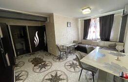 Apartament de 2 camere, centrala termica, aer conditionat, zona Bulevardul Tineretului!