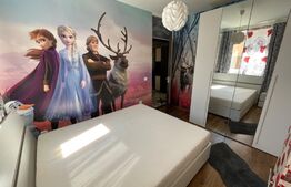 Apartament de 2 camere, centrala termica, aer conditionat, zona Bulevardul Tineretului!