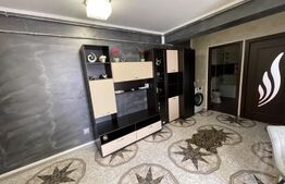 Apartament de 2 camere, centrala termica, aer conditionat, zona Bulevardul Tineretului!