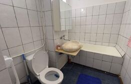 Apartament 3 camere, pretabil muncitori, George Enescu