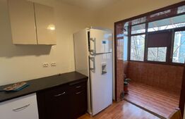 Apartament 3 camere, pretabil muncitori, George Enescu