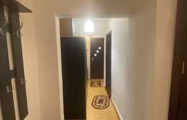 Apartament 3 camere, pretabil muncitori, George Enescu