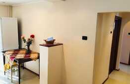 Apartament de 3 camere, mobilat si utilat, Valea Rosie!