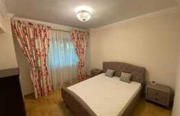 Apartament de lux, 2 camere, zona Centrală! NU SE MAI INCHIRIAZA