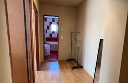 Apartament de 3 camere, decomandat, zona1 Mai, Ciuperca