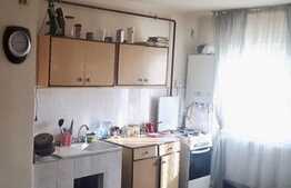 Apartament 2 camere, 57 mp, George Enescu