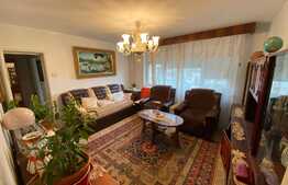 Investiție, apartament 3 camere,  zona Grădina Botanica 