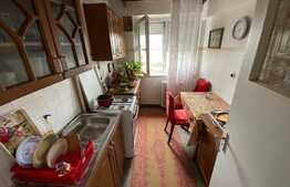 Investiție, apartament 3 camere,  zona Grădina Botanica 