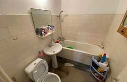 Investiție, apartament 3 camere,  zona Grădina Botanica 