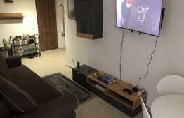 Apartament de 2 camere, mobilat si utilat modern, Bd. Dacia