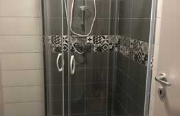 Apartament de 2 camere, mobilat si utilat modern, Bd. Dacia