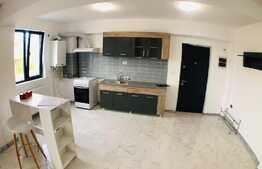 Apartament 2 camere, mobilat si utilat modern, piscina, foisor, zona 1 Mai!