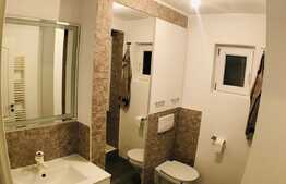 Apartament de 2 camere, mobilat si utilat modern, zona Craiovita