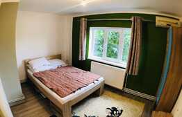 Apartament de 2 camere, mobilat si utilat modern, zona Craiovita