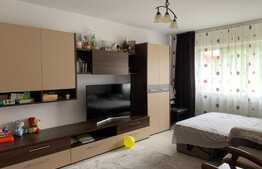 Ocazie! Apartament 2 camere, etaj intermediar, 49 mp utili, Consul