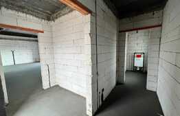 Casă P + E, 119 mp utili, 355 mp teren, ansamblu rezidențial Cârcea