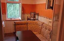 Apartament de 2 camere, Calea Bucuresti, zona Institut
