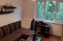 Apartament de 2 camere, Calea Bucuresti, zona Institut
