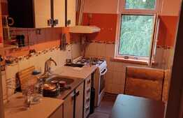 Apartament de 2 camere, Calea Bucuresti, zona Institut