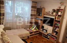 Apartament cu 2 camere, semidecomandat, zona Parcul Puskin