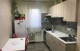 Apartament 2 camere, 48 mp, cartier 1 Mai 