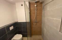 Apartament modern si spatios, 2 camere, 68 mp, zona Lapus