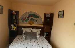 Apartament  2 camere ,Craiovita Noua , Orizont. 