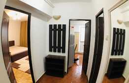 Garsoniera recent renovata, spatioasa, mobilata si utilata, langa KFC