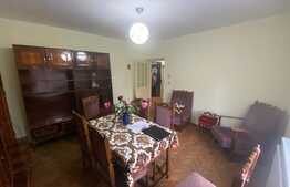 Casa cu 4 camere, 100 mp, zona Parcului Nicolae Romanescu