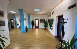 Spatiu de birouri, 236 mp, curte proprie, zona Gradinii Botanice