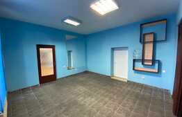 Spatiu de birouri, 236 mp, curte proprie, zona Gradinii Botanice