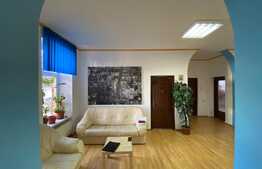 Spatiu de birouri, 236 mp, curte proprie, zona Gradinii Botanice