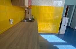 Spatiu de birouri, 236 mp, curte proprie, zona Gradinii Botanice