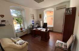 Spatiu de birouri, 236 mp, curte proprie, zona Gradinii Botanice