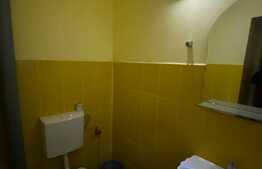 Spatiu de birouri, 236 mp, curte proprie, zona Gradinii Botanice