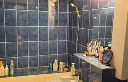 Apartament superb, bilateral, 3 camere decomandate, zona Lapus Arges!