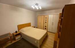 Apartament modern, 2 camere, curte proprie, zona centrala!