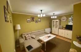 Apartament modern, 2 camere, curte proprie, zona centrala!