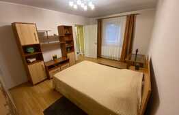 Apartament modern, 2 camere, curte proprie, zona centrala!