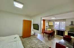 Apartament recent renovat si spatios, zona Centrala