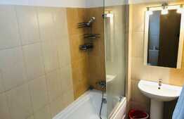 Apartament 2 camere, Bulevardul Decebal, mobilat si utilat modern