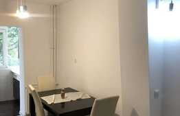 Apartament 2 camere, mobilat si utilat modern, zona Rovine