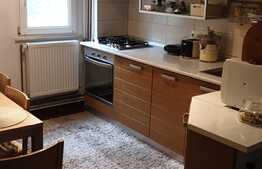 Apartament superb de 2 camere, zona Simplon, Brazda lui Novac