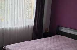 Apartament superb de 2 camere, zona Simplon, Brazda lui Novac