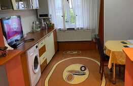 Apartament 2 camere decomandate, 58 mp, Brazda lui Novac